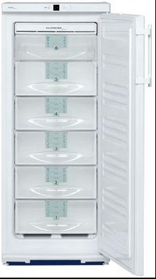 Congélateur froid ventilé Liebherr LGN 2323 – 188L – -20°C à -28°C – dégivrage automatique - Image 1