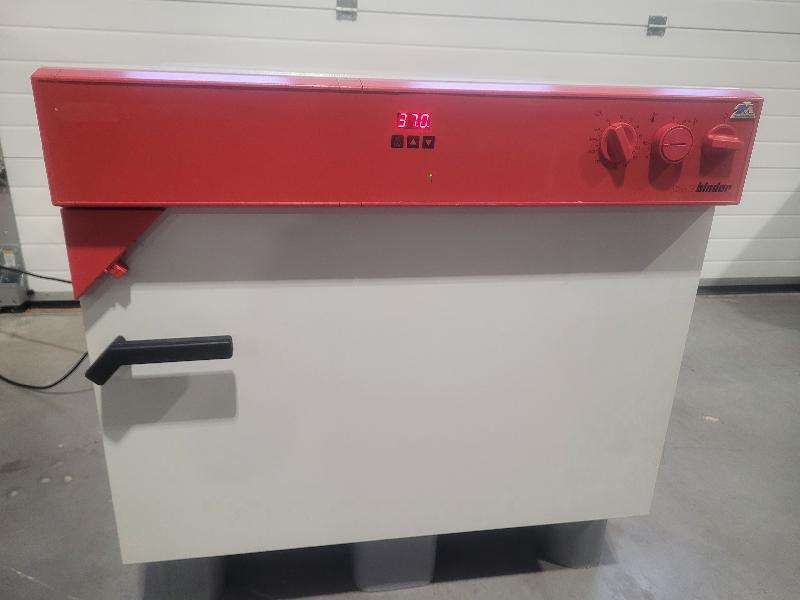 Incubateur / étuve BINDER BD-115 avec convection naturelle 100°C - Image 1
