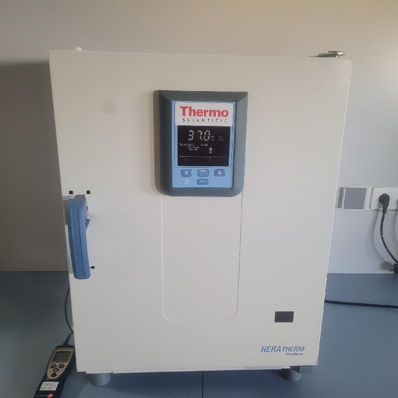 Incubateur / étuve Thermo Scientific Heratherm IMH60 avec convection forcée 105°C - Image 1