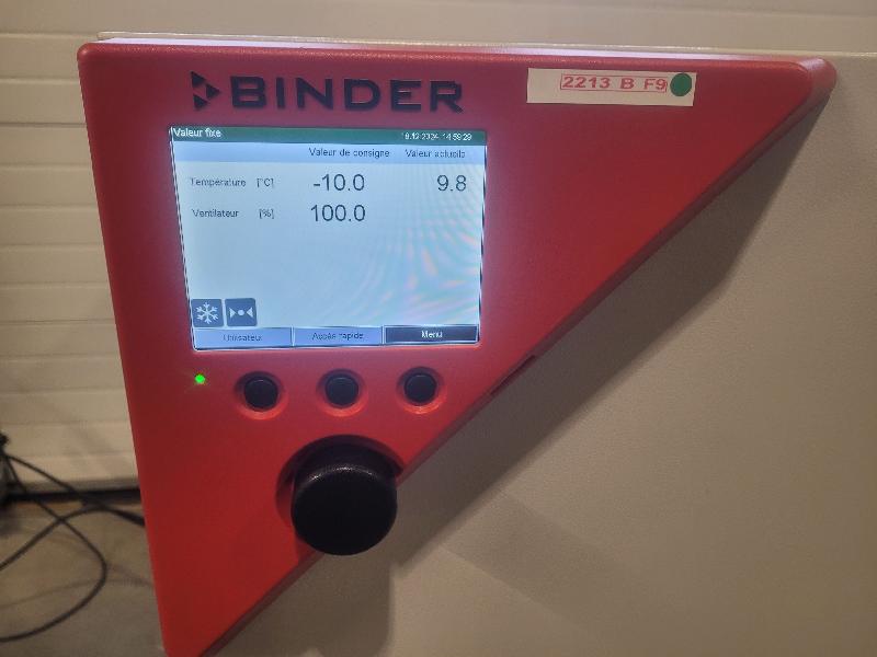 Incubateur / étuve réfrigéré BINDER KB-115 avec convection forcée 100°C - Image 2