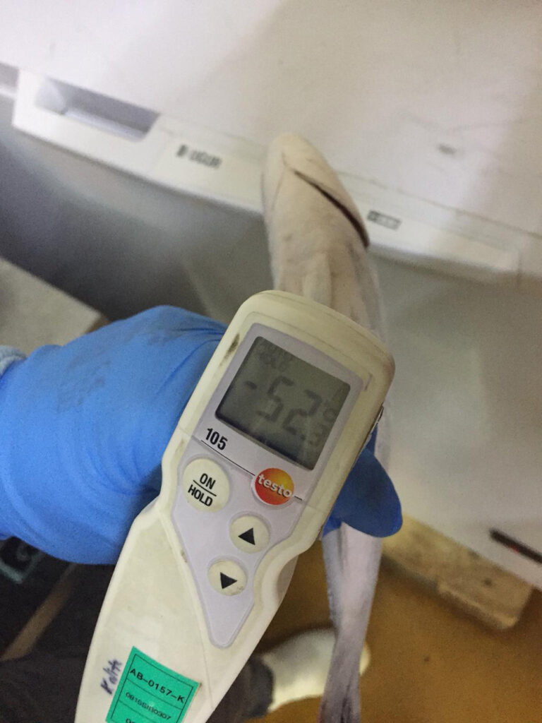 Congélateur Ultra Basse Température Cascade 120 – Température -65 °C, Compresseur 180 HP, 87400 W - Image 1